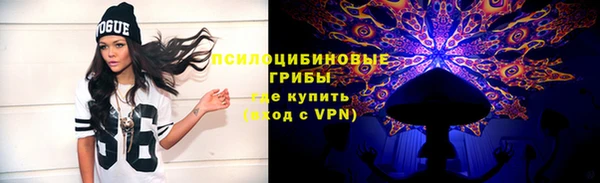 apvp Вязьма