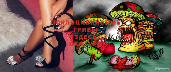apvp Вязьма